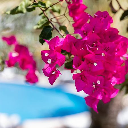 Vila Balaia - Luxury Boutique Villas Албуфейра Екстериор снимка